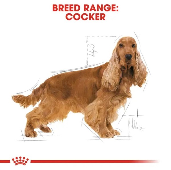 Royal Canin Cocker Adult - Суха храна за кокер шпаньоли в зряла възраст над 12 месеца